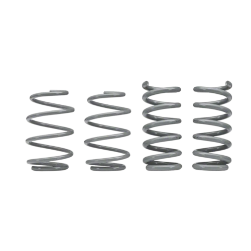 RTR - 2015-2024 Mustang - GT Fastback, EcoBoost Tactical Performance Lowering Springs (w/ MagneRide)