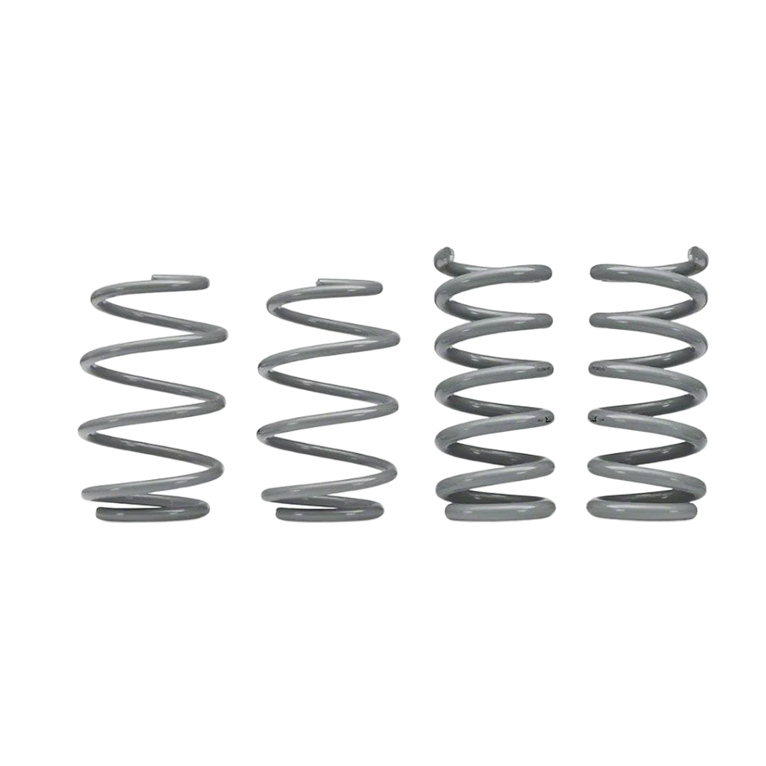 RTR – 2015-2024 Mustang – GT Fastback, EcoBoost Tactical Performance Lowering Springs (w/ MagneRide)