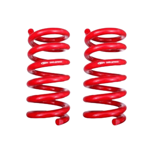 BMR 2015-2023 Mustang Lowering Springs, Rear, Handling Version
