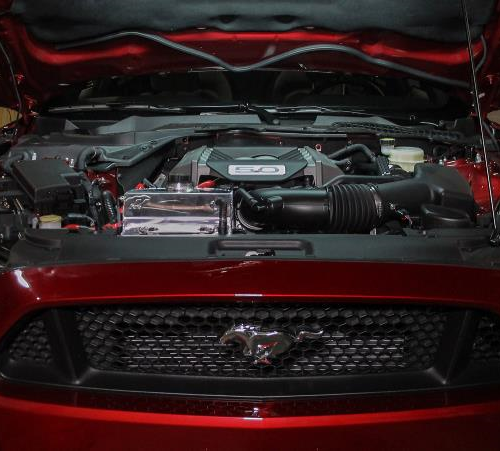 Alternative view of Mishimoto 2015-2023 Ford Mustang EcoBoost / 3.7L / 5.0L Aluminum Coolant Expansion Tank