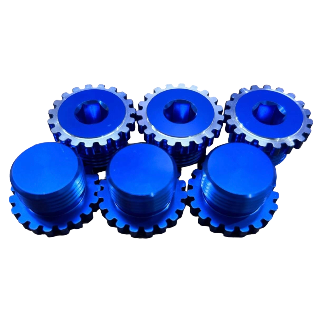 EMS 2.0/2.3L EcoBoost Balance Shaft Delete - Image 3