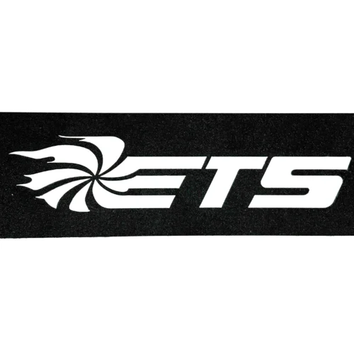 Alternative view of ETS - Mustang EcoBoost 3.5" Intercooler Upgrade