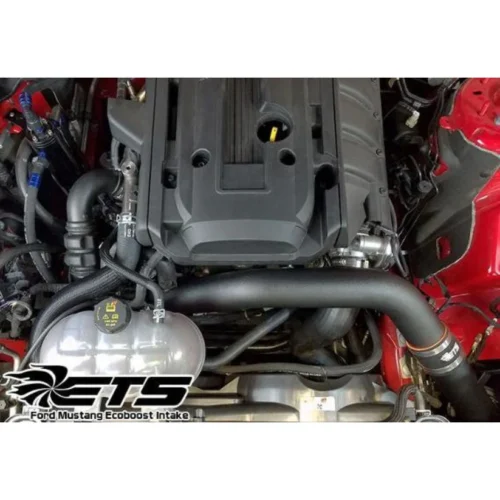 Alternative view of ETS - Ford Mustang EcoBoost Intake Upgrade 2015+