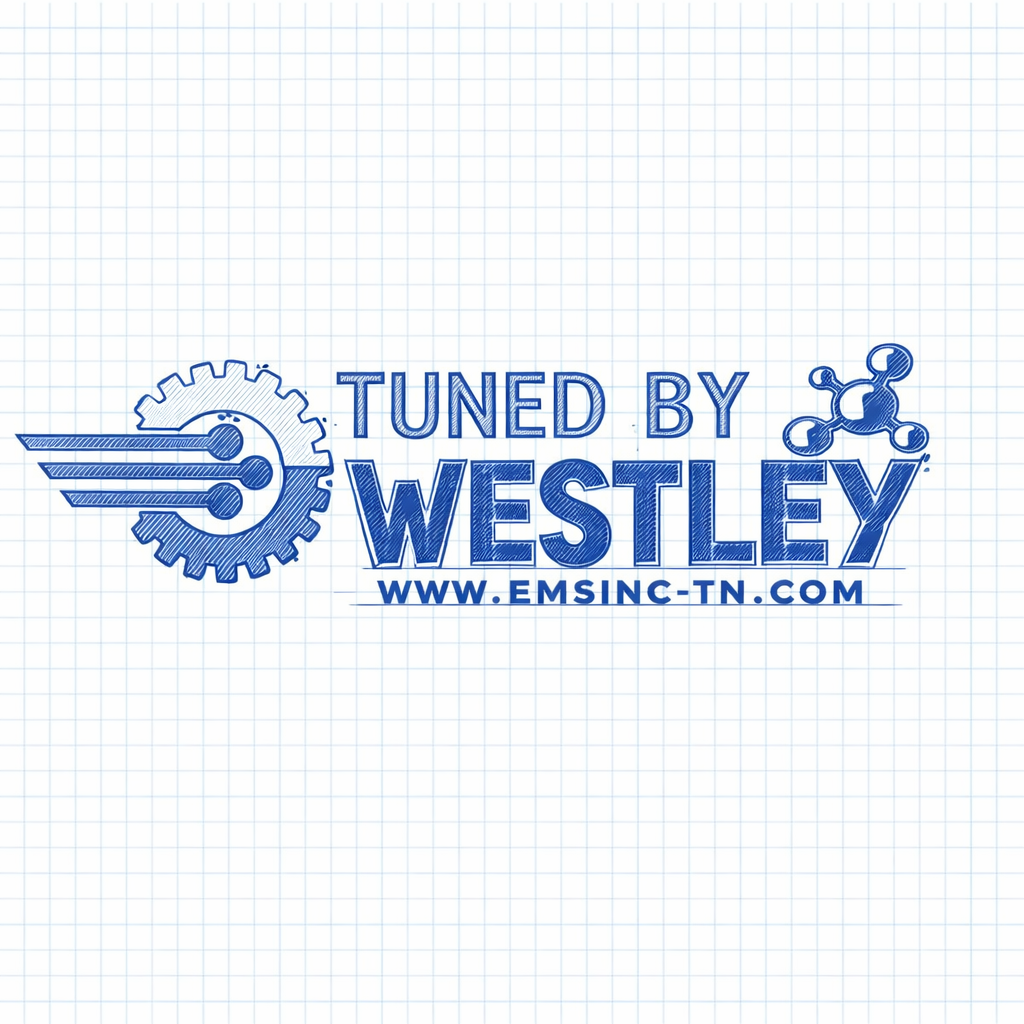 EMS Custom Tune | 2014-2019 Fiesta ST 1.6L Lifetime Two fuel